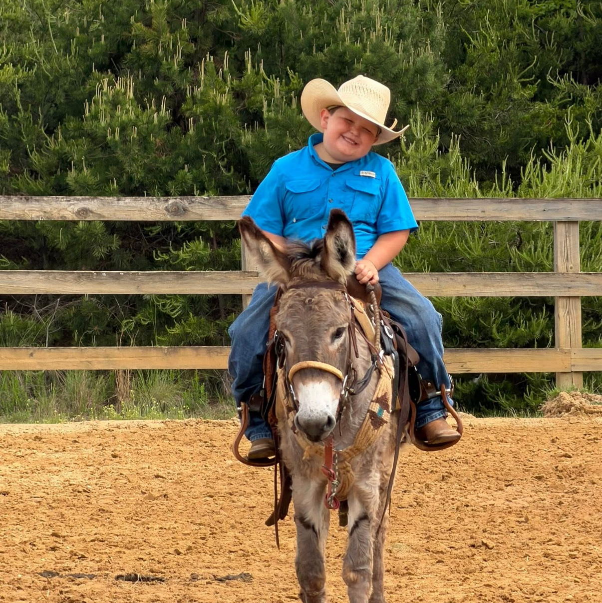 5 year old cowboy riding a donkey in an outdoor arena with a wooden fence and greenery in the background.