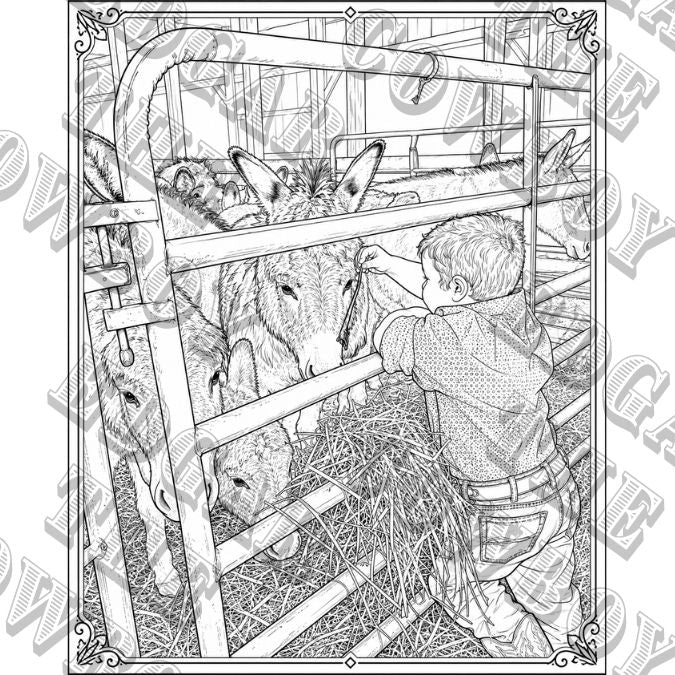 Edgar the Cowboy and his wild burro French Fry coloring book ——DIGITAL COPY,  PDF Instant download, print at home,