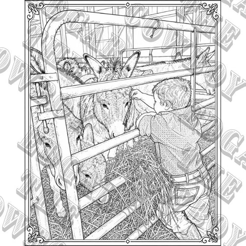 Edgar the Cowboy and his wild burro French Fry coloring book ——DIGITAL COPY,  PDF Instant download, print at home,