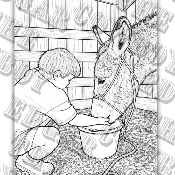 Edgar the Cowboy and his wild burro French Fry coloring book ——DIGITAL COPY,  PDF Instant download, print at home,
